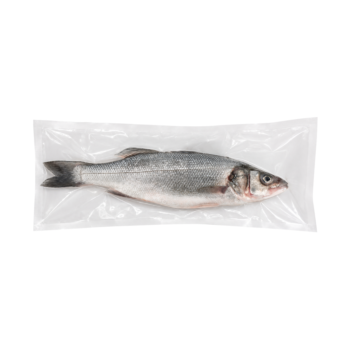 Branzino (Lubina) Whole Fish