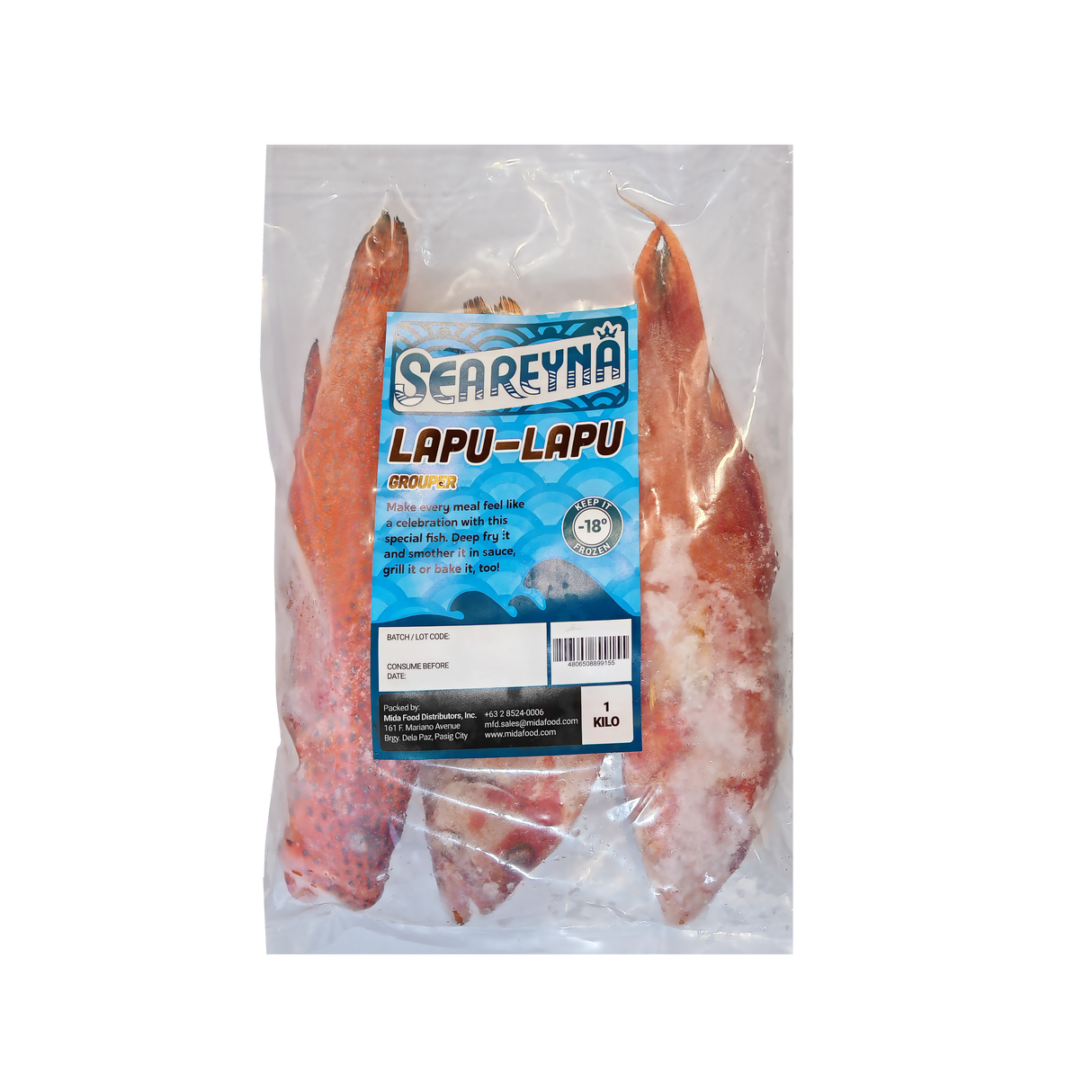 Lapu-Lapu (Whole Grouper)