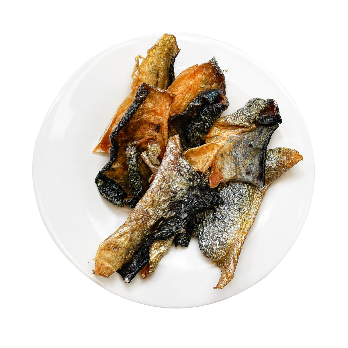 Salmon Skin