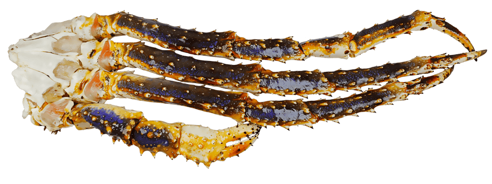Blue King Crab Leg Cluster (Raw) - Pacific Bay