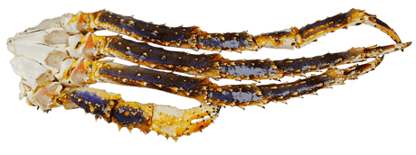 Blue King Crab Leg Cluster (Raw) - Pacific Bay