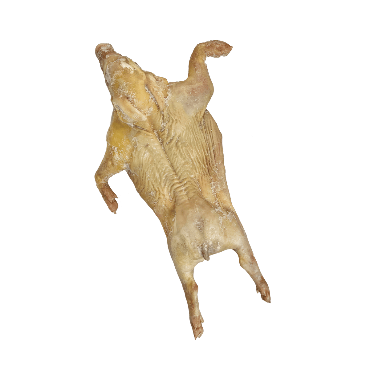 Native Cochinillo (Small Raw Suckling Pig) - Pacific Bay