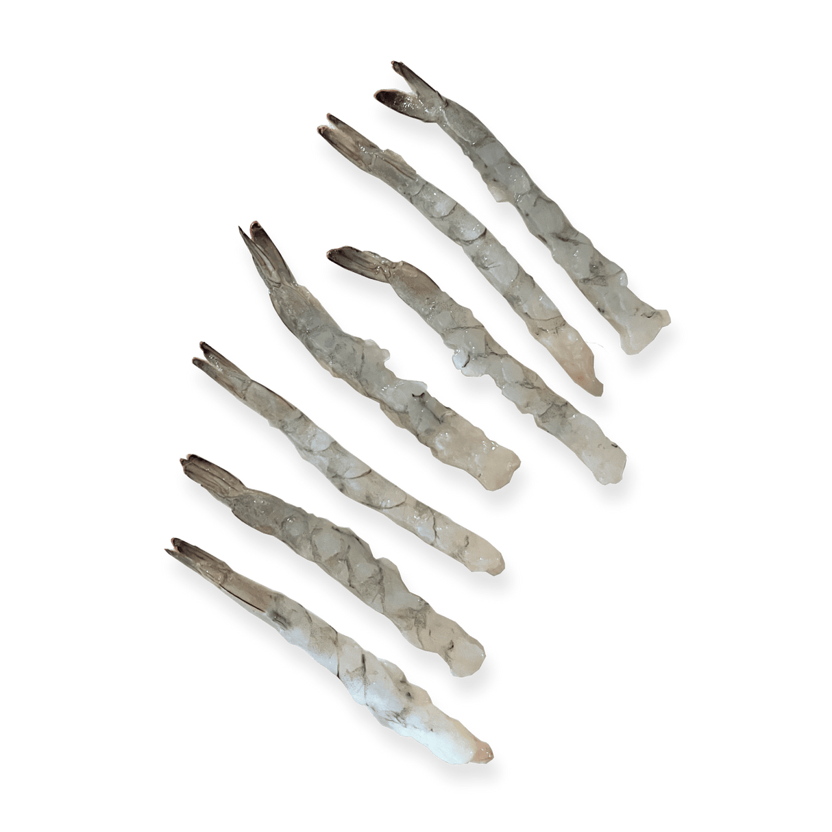 Nobashi Ebi Large (for Shrimp Tempura) - Pacific Bay