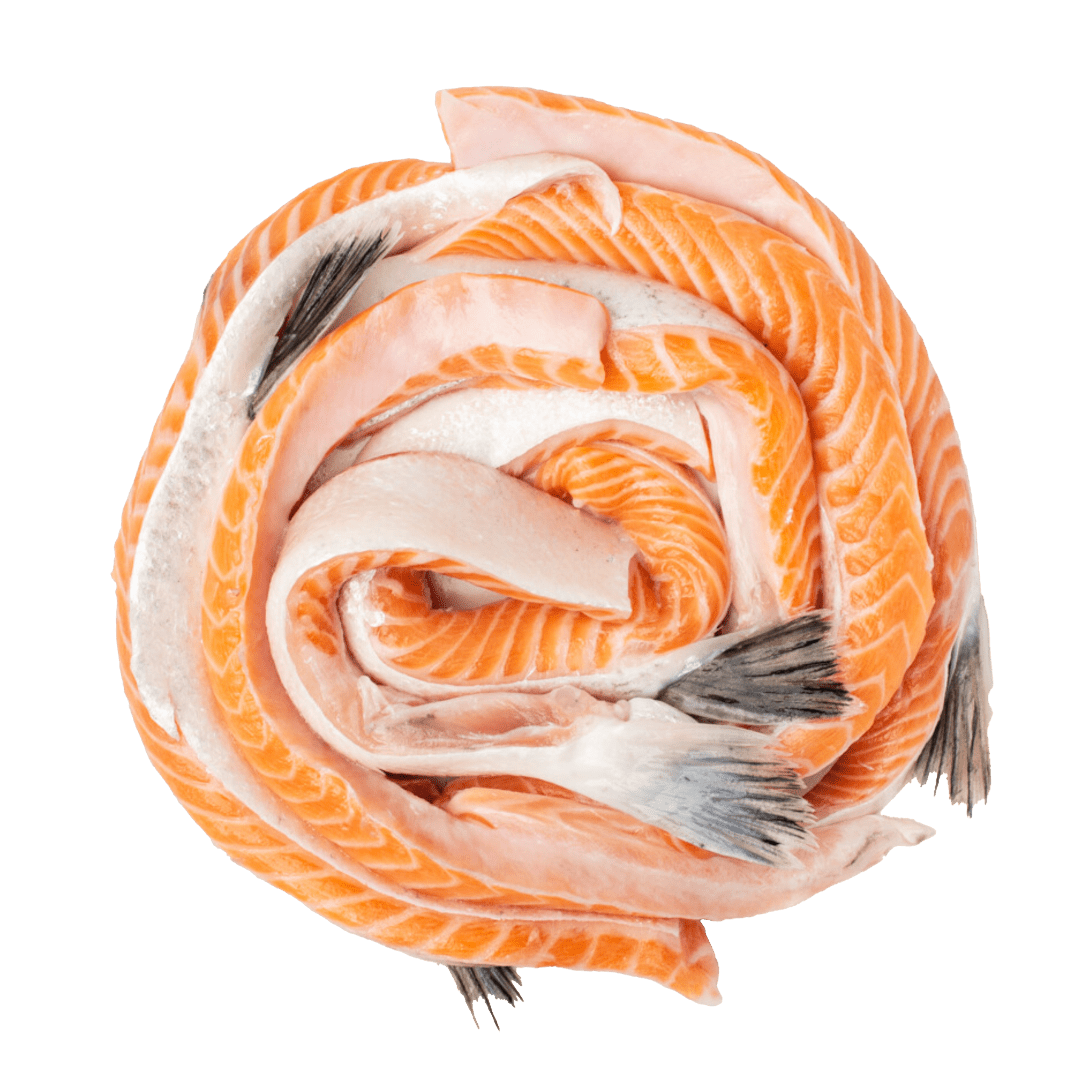 Salmon Belly - Pacific Bay