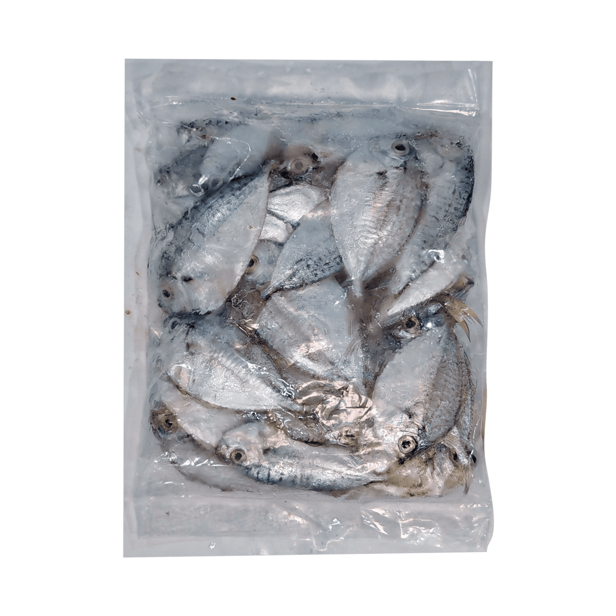 Sapsap (Whole Ponyfish) - Pacific Bay