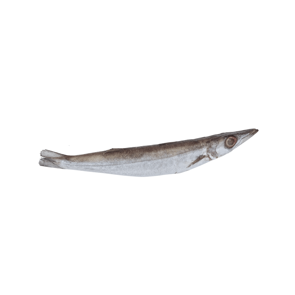 Torsilyo (Whole Barracuda) - Pacific Bay