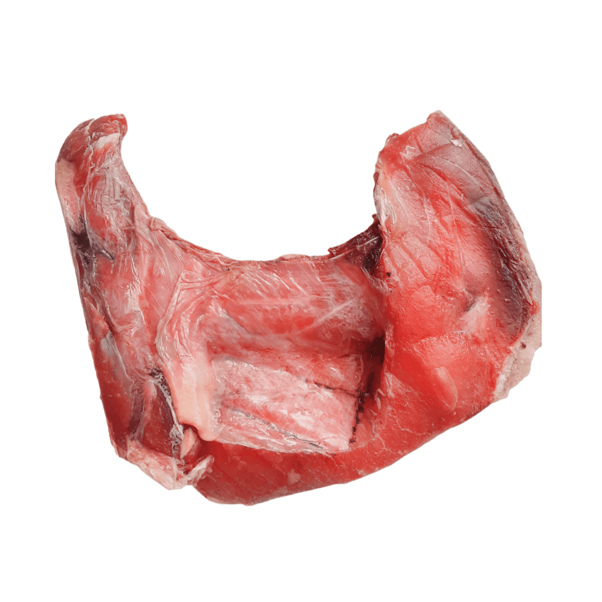 Tuna Panga - Pacific Bay