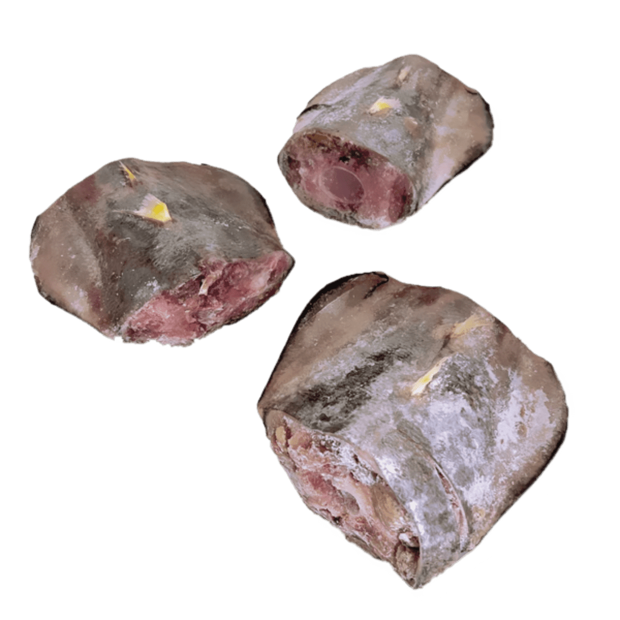 Tuna Tail - Pacific Bay