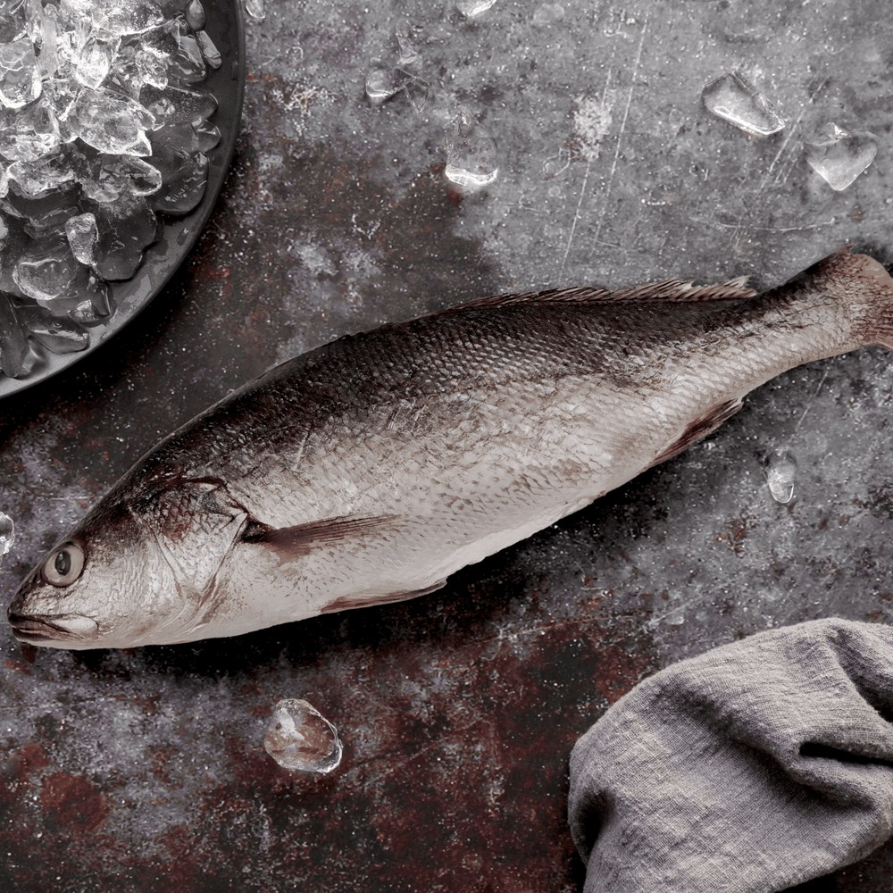 Whole Croaker (Alakaak) - Pacific Bay