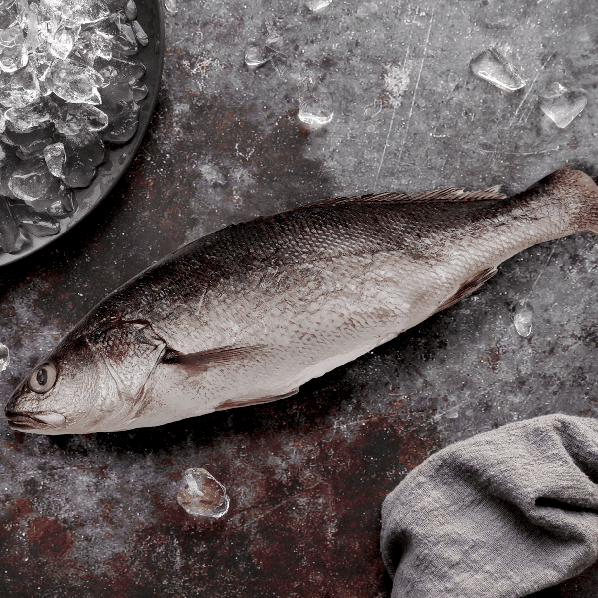 Whole Croaker (Alakaak) - Pacific Bay