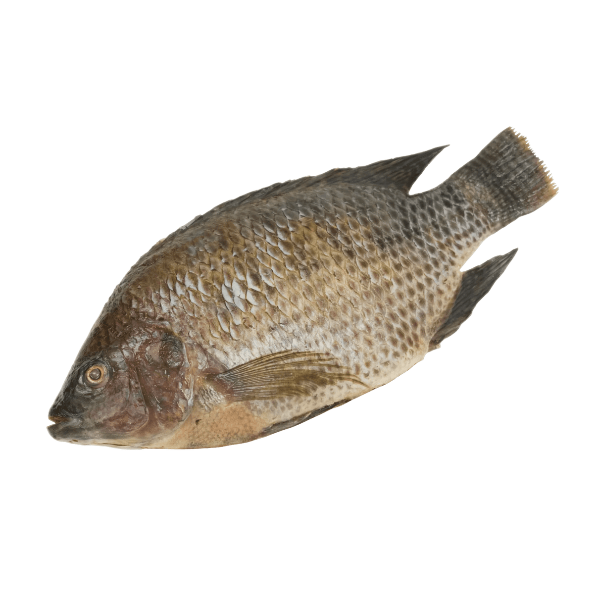 Whole Tilapia - Pacific Bay