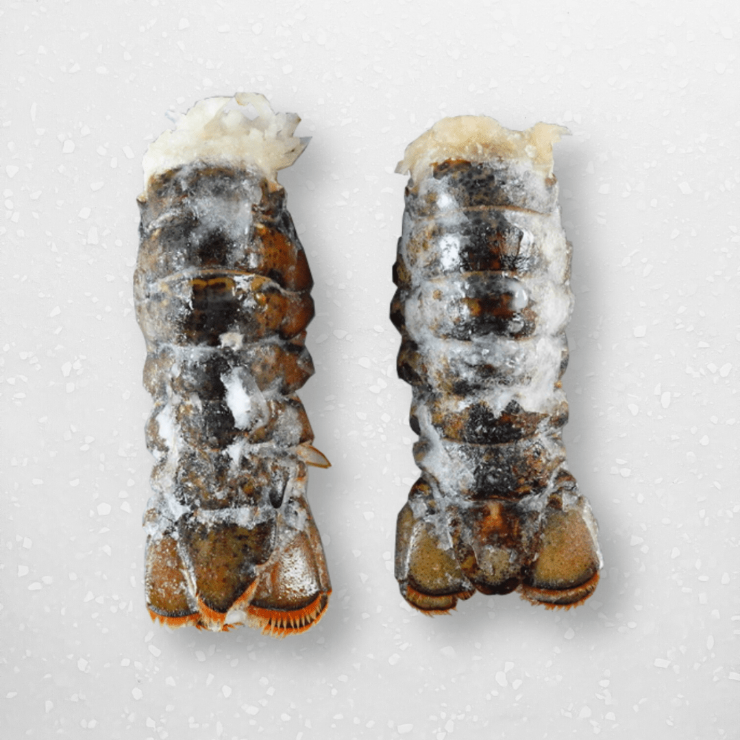 Lobster Tails - Pacific Bay
