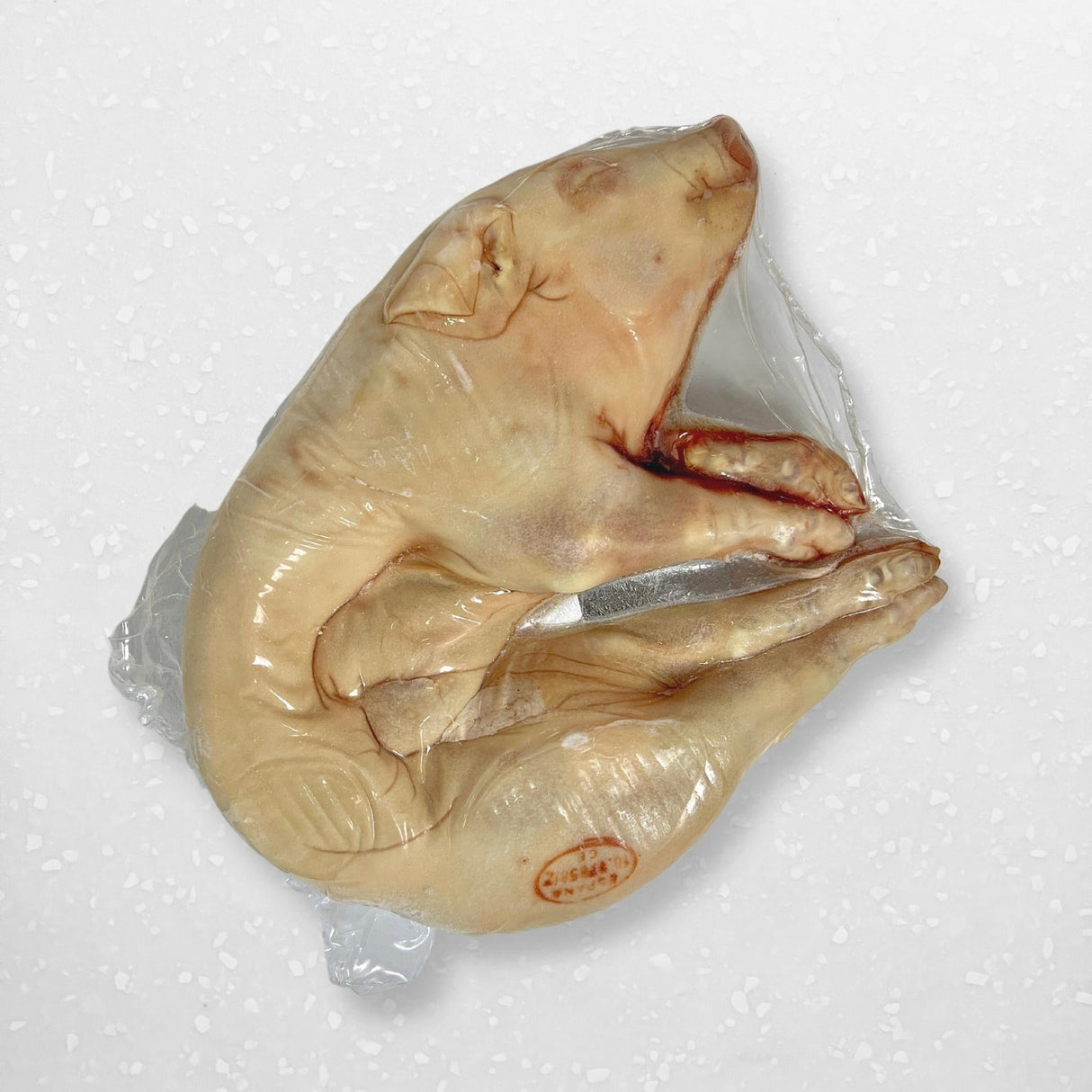 Spanish Cochinillo (Large Raw Suckling Pig) - Pacific Bay