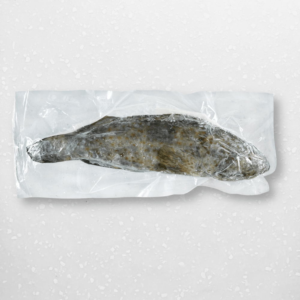 Whole Pearl Grouper (Lapu Lapu) - Pacific Bay