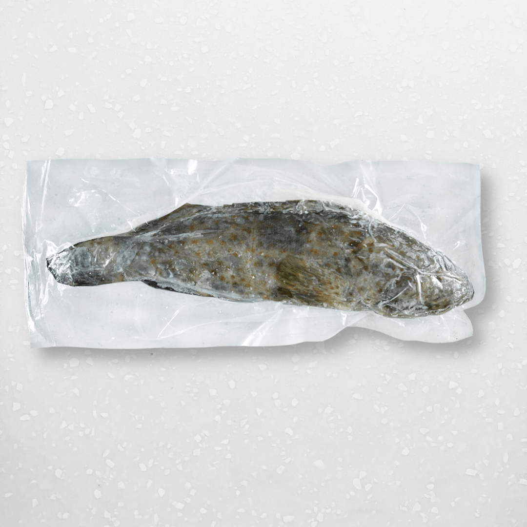 Whole Pearl Grouper (Lapu Lapu) - Pacific Bay