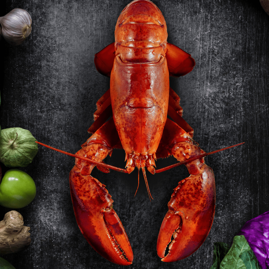 Whole Raw Boston Lobster - Pacific Bay