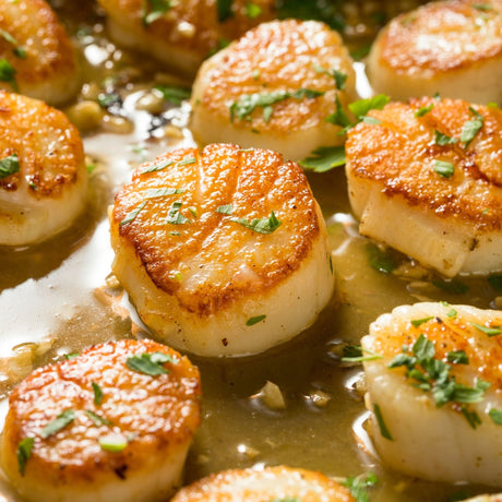 Pan-Seared Scallops in Broth - Pacific Bay