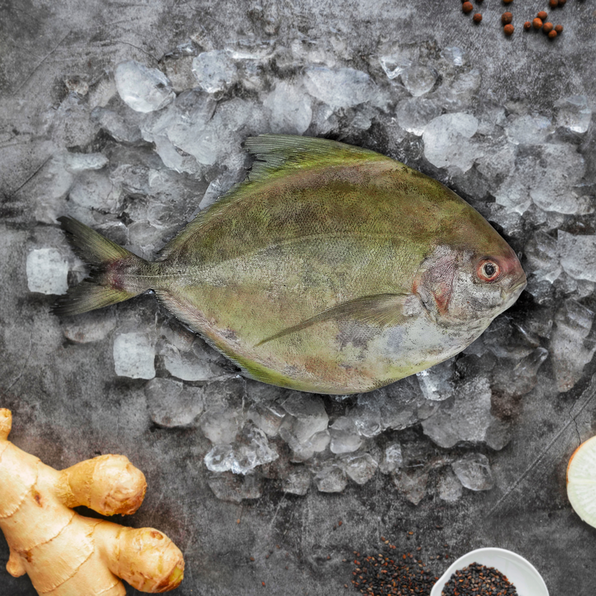 Whole Black Pampano (Pomfret)