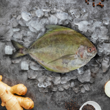 Whole Black Pampano (Pomfret)