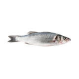 Branzino (Lubina) Whole Fish