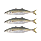 Saver Bundle: Buy 3 and Save on Seareyna Galunggong