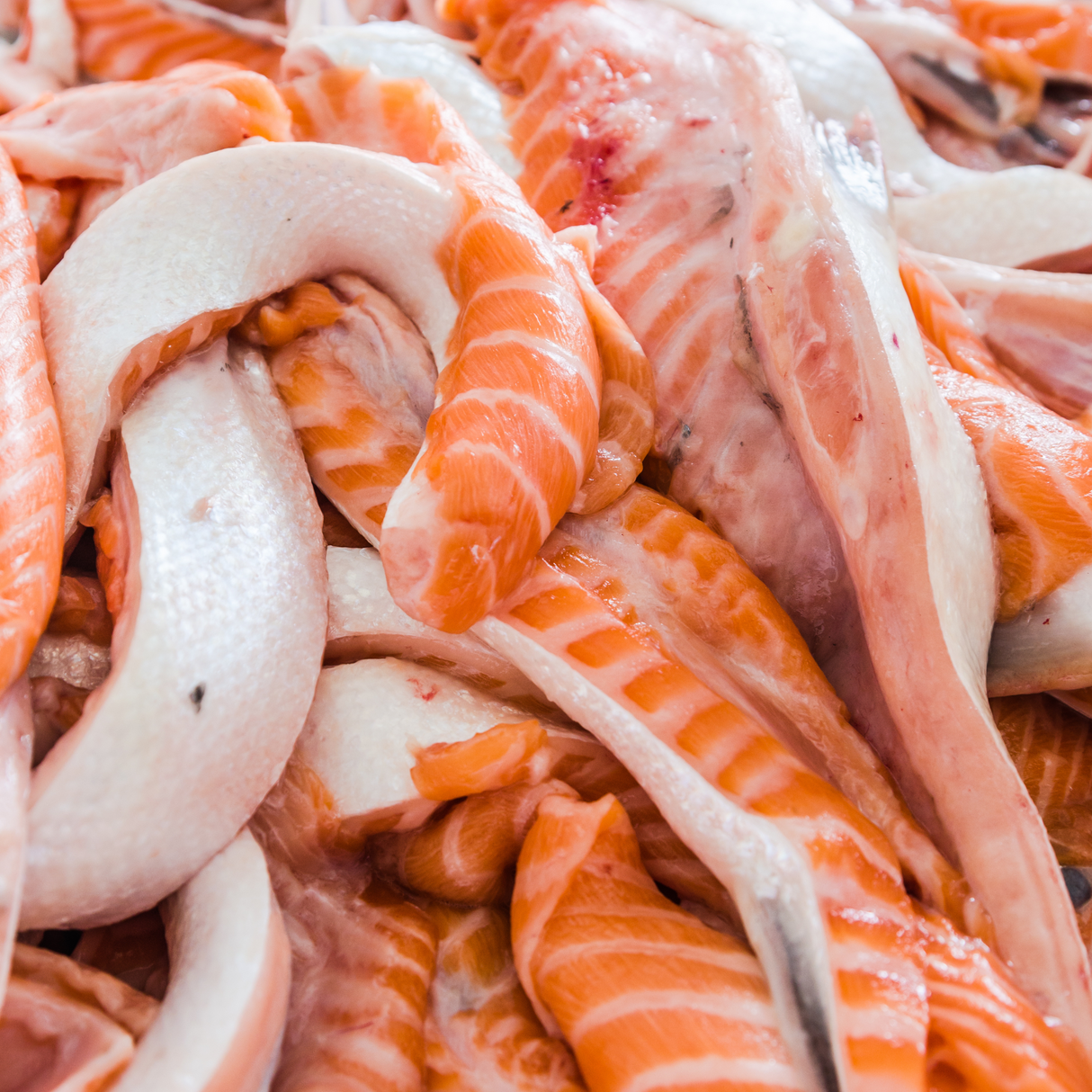 Get 5% Off for 1 kilo Seareyna Salmon Belly