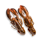 Whole Raw Boston Lobster