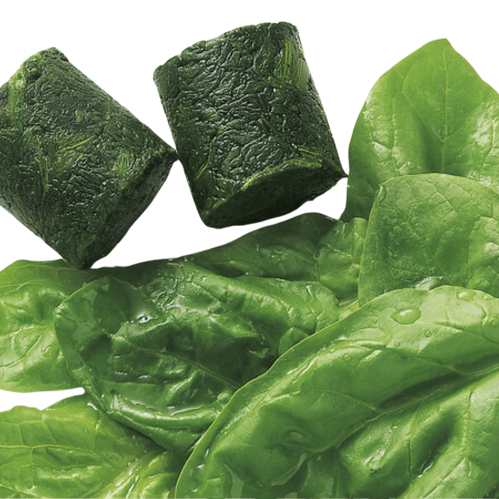 Ardo Bio Organic Spinach Leaf Portions - Pacific Bay