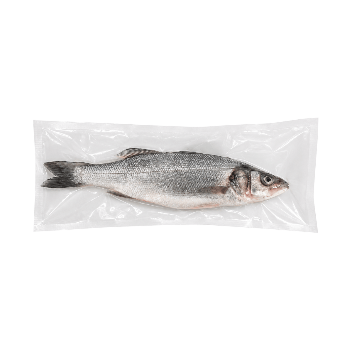 Branzino (Lubina) Whole Fish - Pacific Bay
