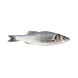 Branzino (Lubina) Whole Fish - Pacific Bay