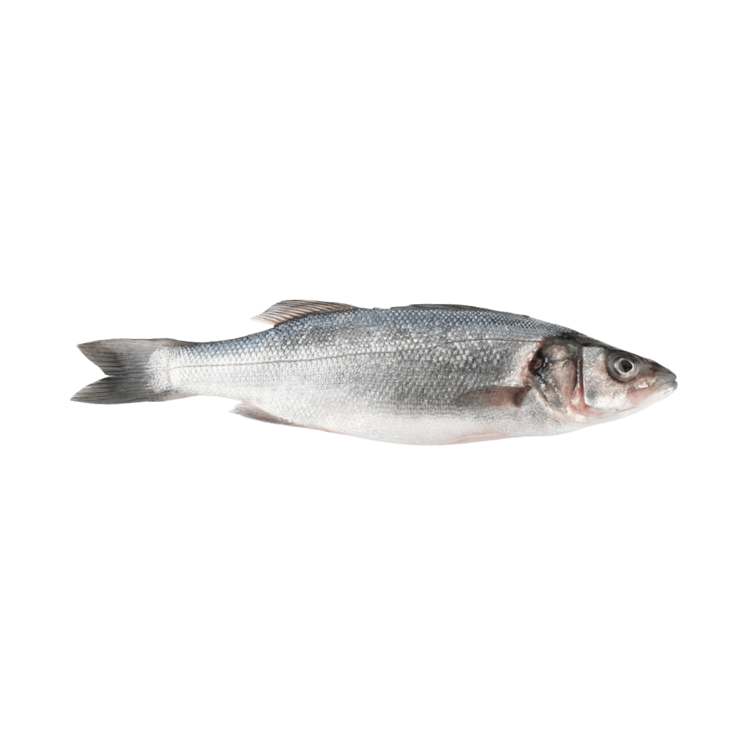 Branzino (Lubina) Whole Fish - Pacific Bay
