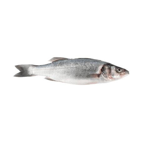 Branzino (Lubina) Whole Fish - Pacific Bay