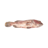 Grouper Whole (Lapu Lapu - Ulpot) - Pacific Bay