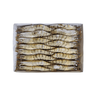 Head - On Black Tiger Prawns - Pacific Bay