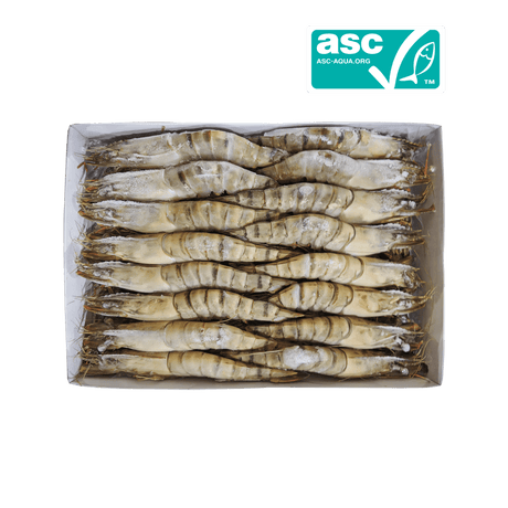 Head - On Black Tiger Prawns - Pacific Bay