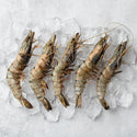 Head - On Black Tiger Prawns - Pacific Bay