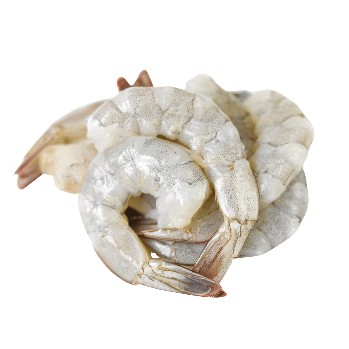 Hipon (Shrimp) - Pacific Bay