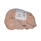 Native Cochinillo (Small Raw Suckling Pig) - Pacific Bay