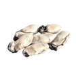 Oyster Meat - Pacific Bay