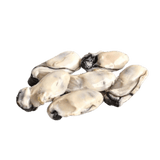 Oyster Meat - Pacific Bay