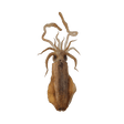 Pusit Lumot (Soft Cuttlefish) - Pacific Bay