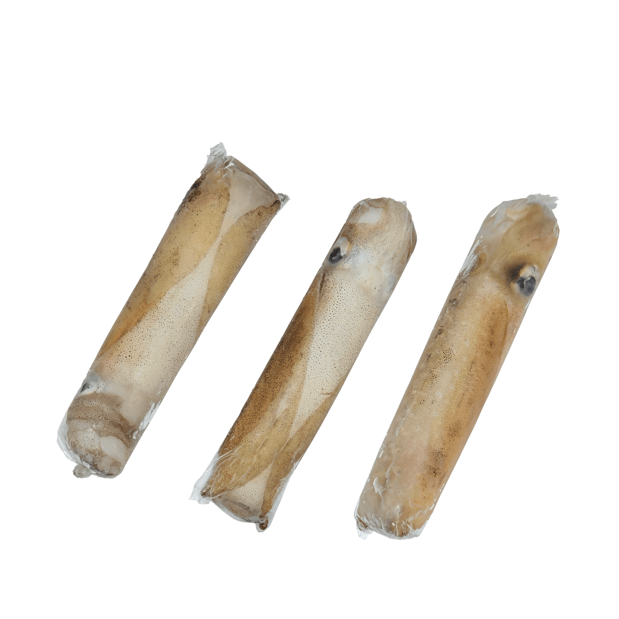 Pusit Lumot (Soft Cuttlefish) - Pacific Bay