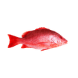 Red Snapper (Whole) - Pacific Bay