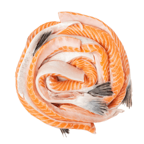 Salmon Belly - Pacific Bay