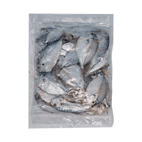 Sapsap (Whole Ponyfish) - Pacific Bay