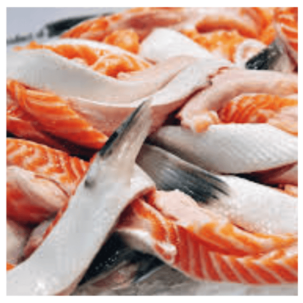 Saver Bundle: Salmon Fins - Pacific Bay