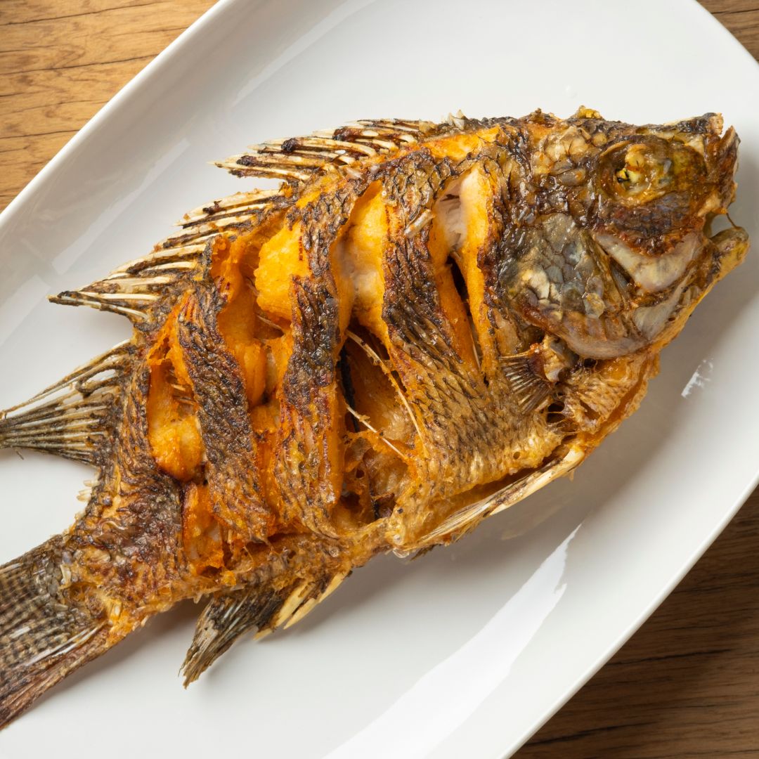 Tilapia | Pacific Bay