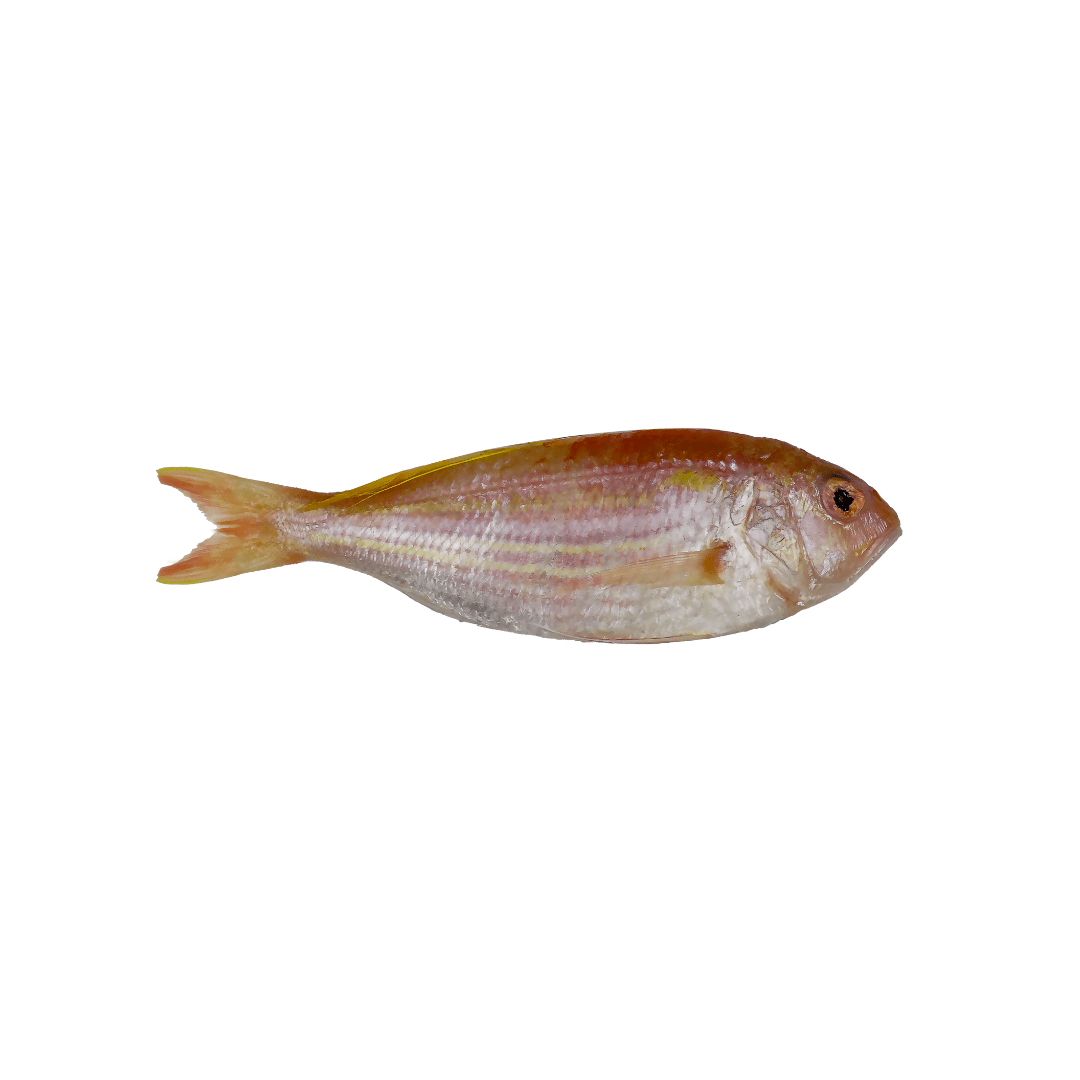 Threadfin Bream Whole (Bisugo) - Pacific Bay