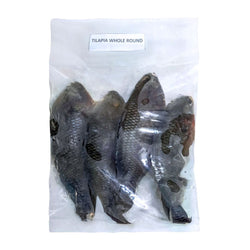 Tilapia Whole - Pacific Bay