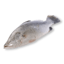 Whole Barramundi (Apahap) - Pacific Bay